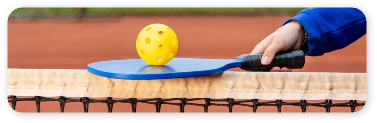 pickle-tennis-the-game